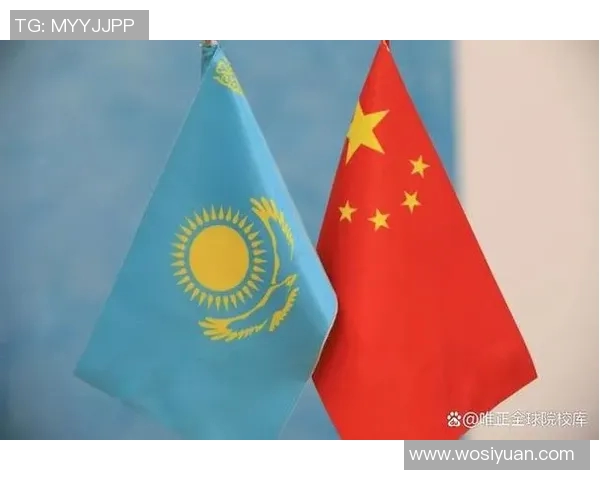 哈萨克斯坦语言的历史演变与文化影响探析