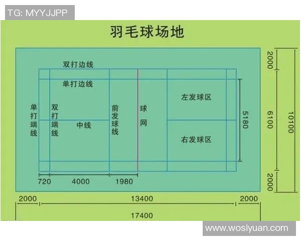 南京羽毛球队个人能力分析与表现评估研究报告