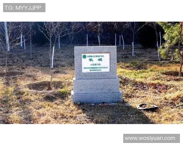 古代足球明星张姓人物的传奇故事与成就探秘
